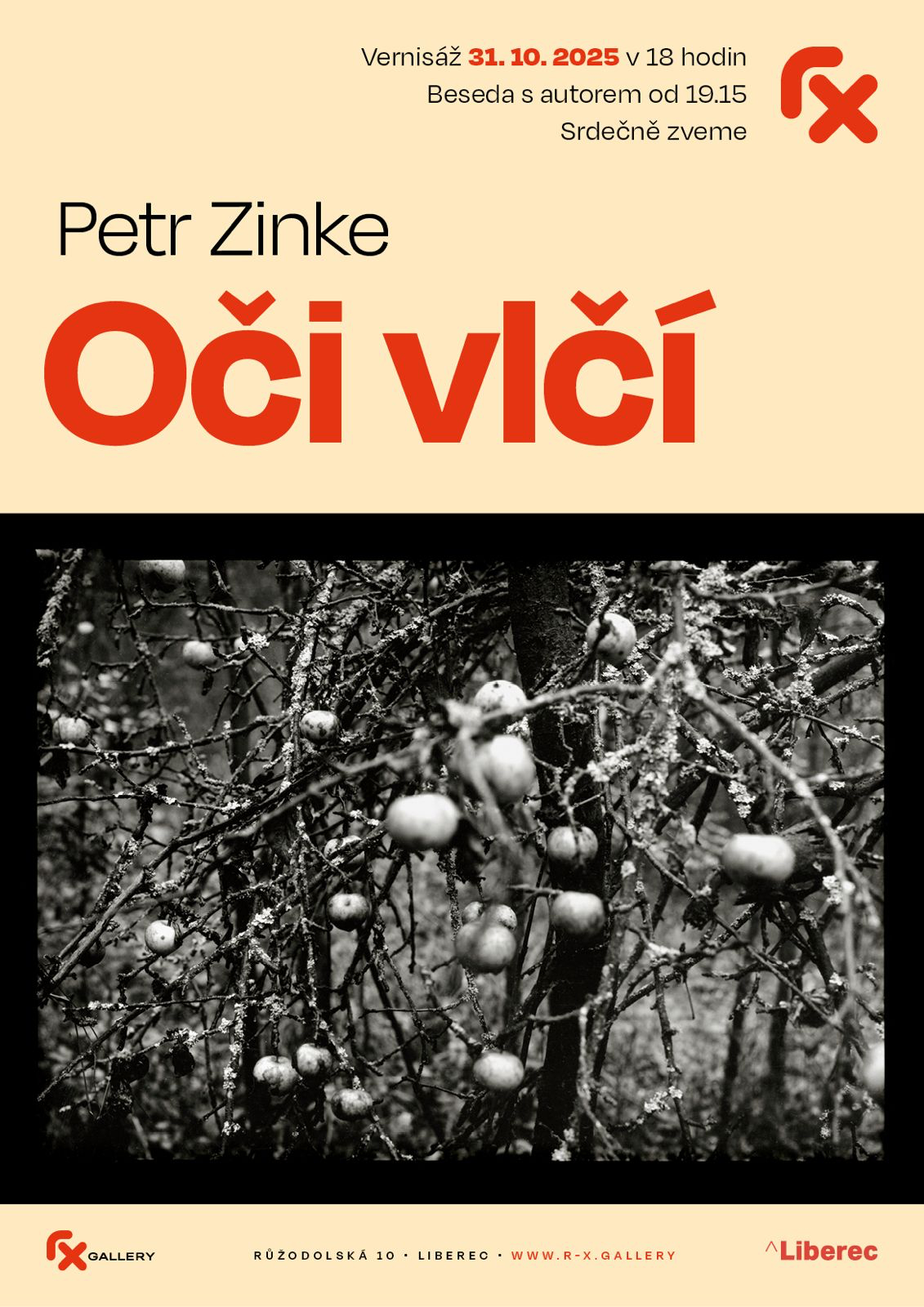 Fx Gallery - Petr Zinke - vernisáž