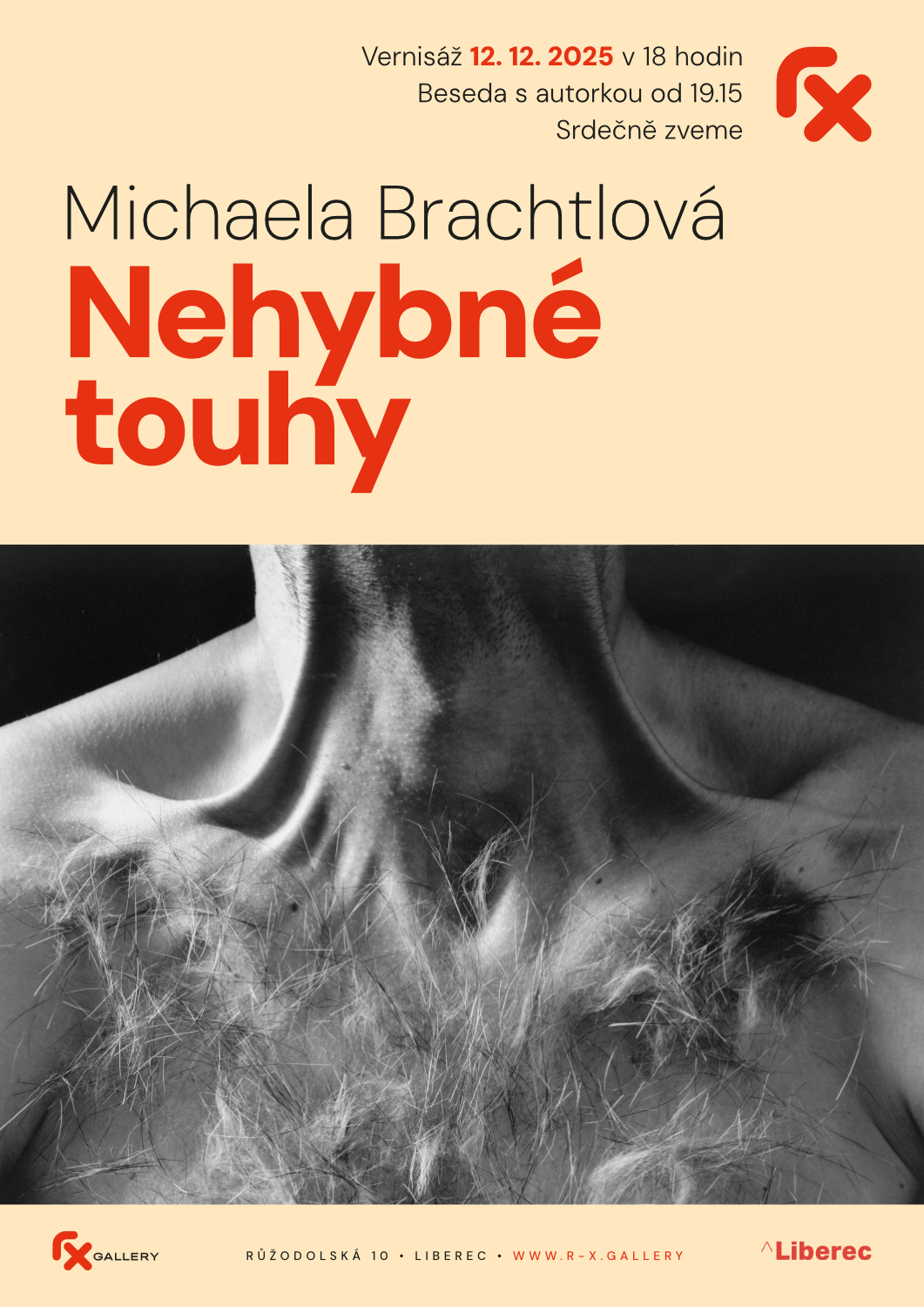 Rx Gallery - Michaela Brachtlová - vernisáž